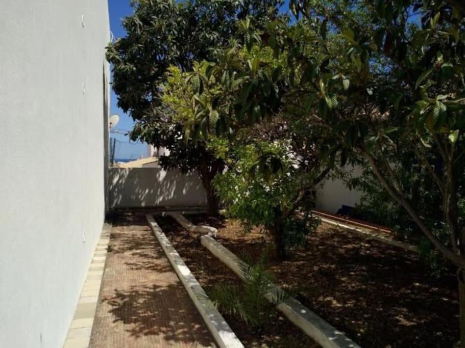 Villa Senhorial - Palace XIX & Privacy & Beach & Albufeira Old Town Екстер'єр фото